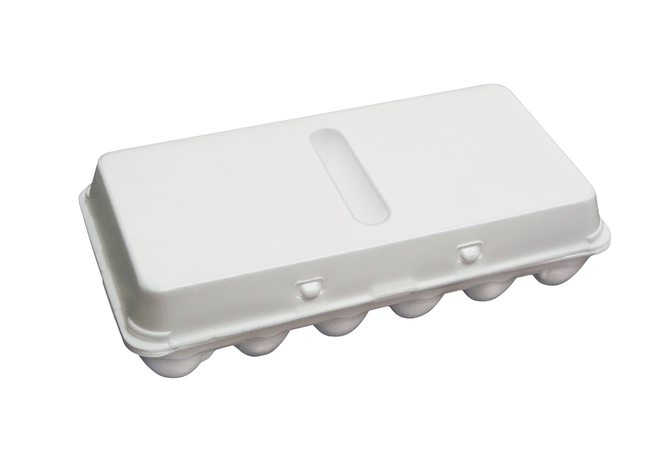 styrofoam egg carton