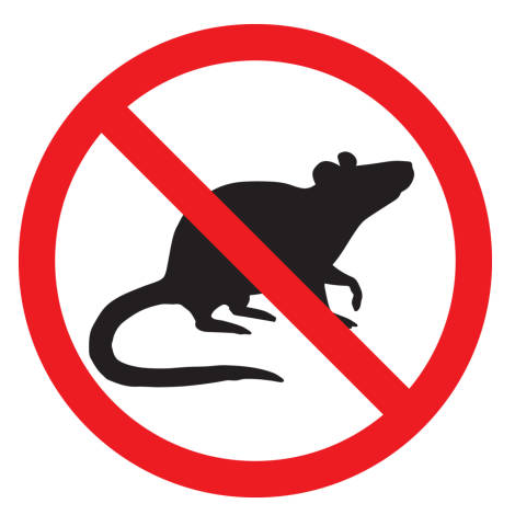 mice pest control