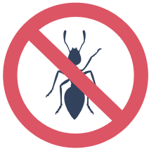 no ants